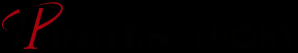 Internetport logo